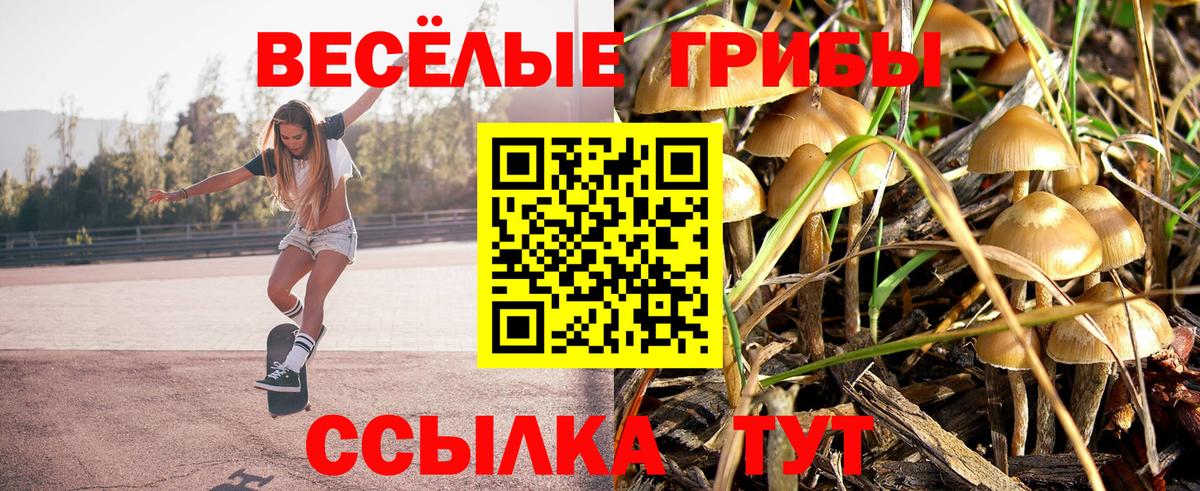 Псилоцибиновые грибы MAGIC MUSHROOMS Карачаевск