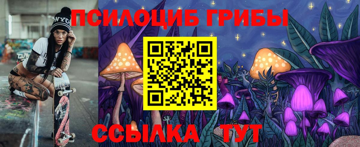 купить  цена  Галлюциногенные грибы Cubensis  Вход с VPN  Карачаевск  Псилоцибиновые грибы мицелий 